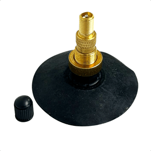 Kit 50 Bico Válvula Pneu Roda Agricola Trator Tr 218a Jumbo